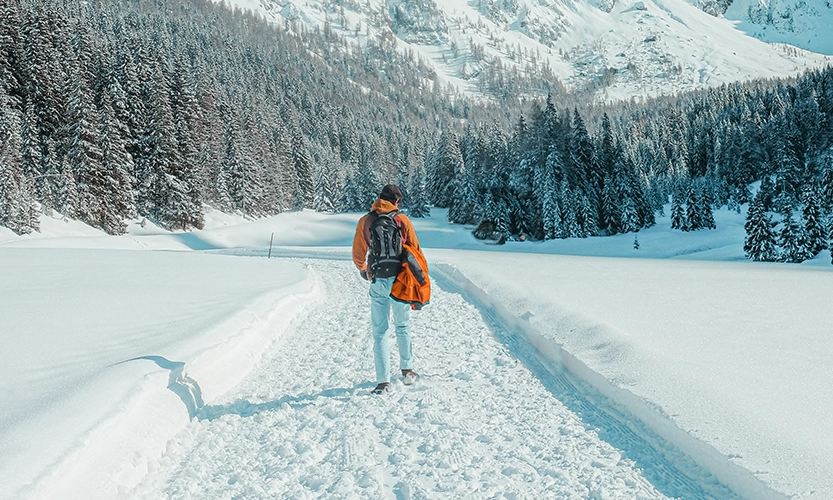 Manali Tour Package 3 Days
